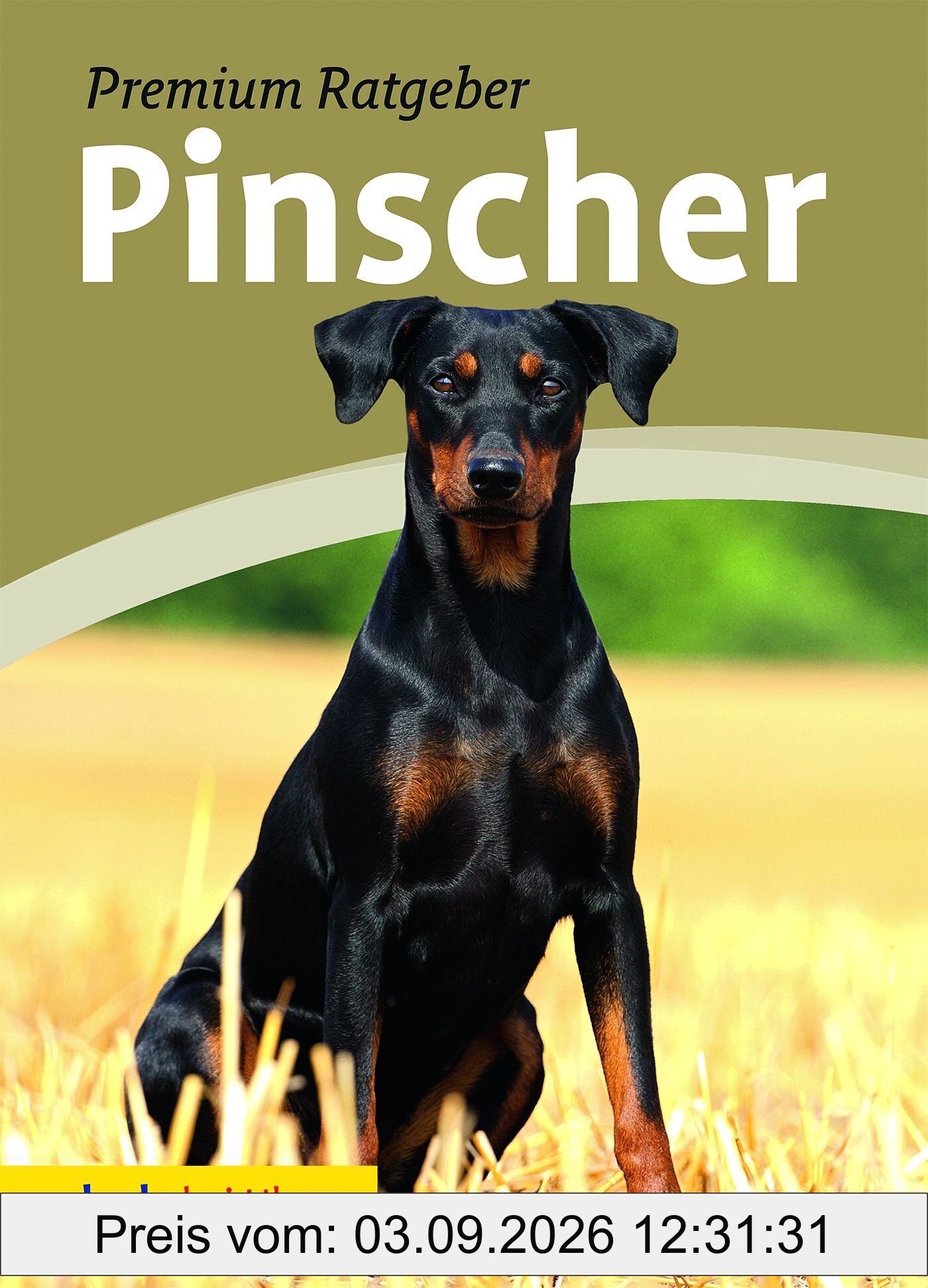 Pinscher