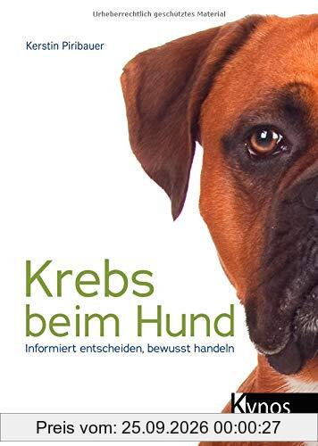 Krebs beim Hund: Informiert entscheiden, bewusst handeln