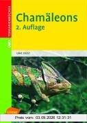 Chamäleons