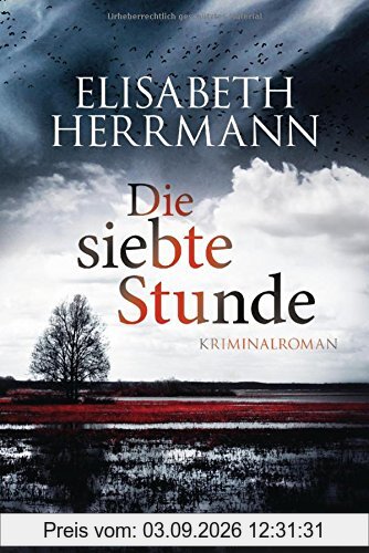 Die siebte Stunde: Roman