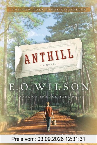 Anthill