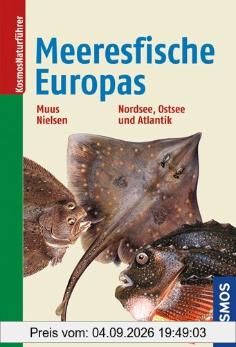 Die Meeresfische Europas: in Nordsee, Ostsee und Atlantik