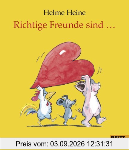 Richtige Freunde sind ...: Vierfarbiges Geschenkbuch