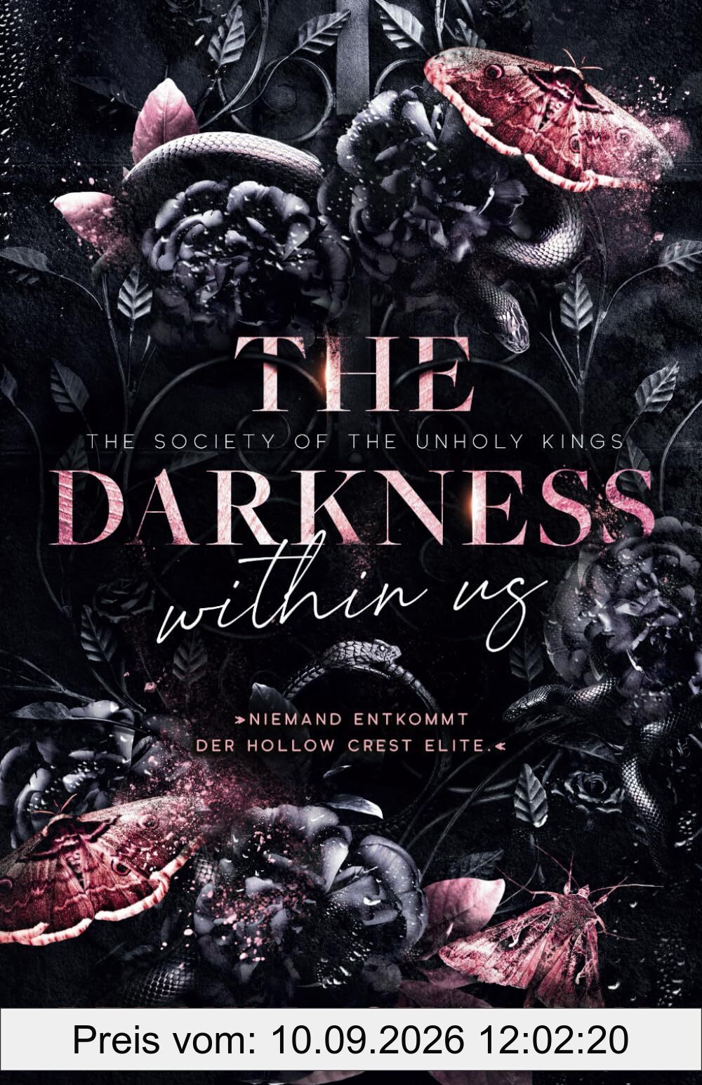 The Darkness within us: Niemand entkommt der Hollow Crest Elite! (The Society of the Unholy Kings, Band 1)