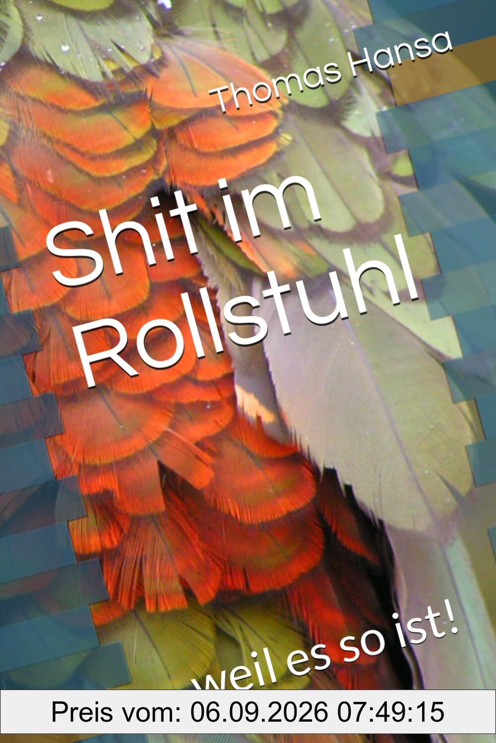 Shit im Rollstuhl: ...weil es so ist!