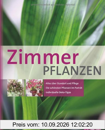 Zimmerpflanzen: Alles über Standort und Pflege - Die schönsten Pflanzen im Porträt - Individuelle Deko-Tipps