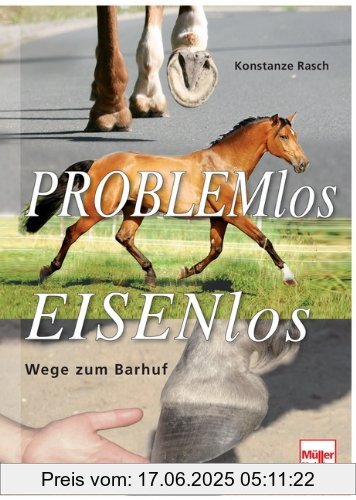 Binding : Gebundene Ausgabe, Edition : 1, Label : Müller Rüschlikon, Publisher : Müller Rüschlikon, medium : Gebundene Ausgabe, numberOfPages : 368, publicationDate : 2013-12-13, authors : Konstanze Rasch, languages : german, ISBN : 3275019031