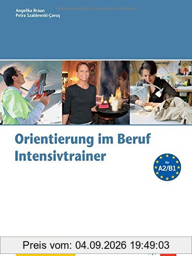 Orientierung im Beruf: Intensivtrainer mit Audio-CD