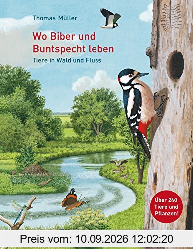 Wo Biber und Buntspecht leben: Tiere in Wald und Fluss