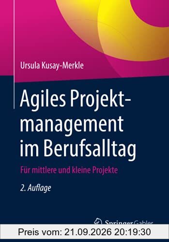 Agiles Projektmanagement im Berufsalltag: Für mittlere und kleine Projekte