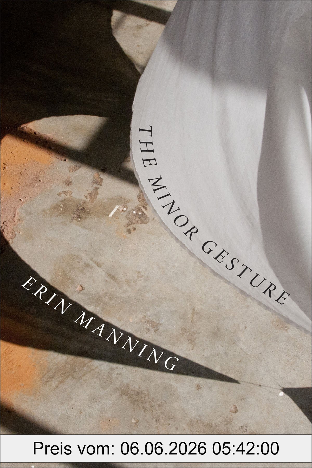 Erin Manning The Minor Gesture (Thought In The Act)