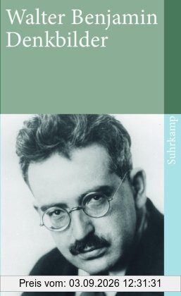 Denkbilder (suhrkamp taschenbuch)