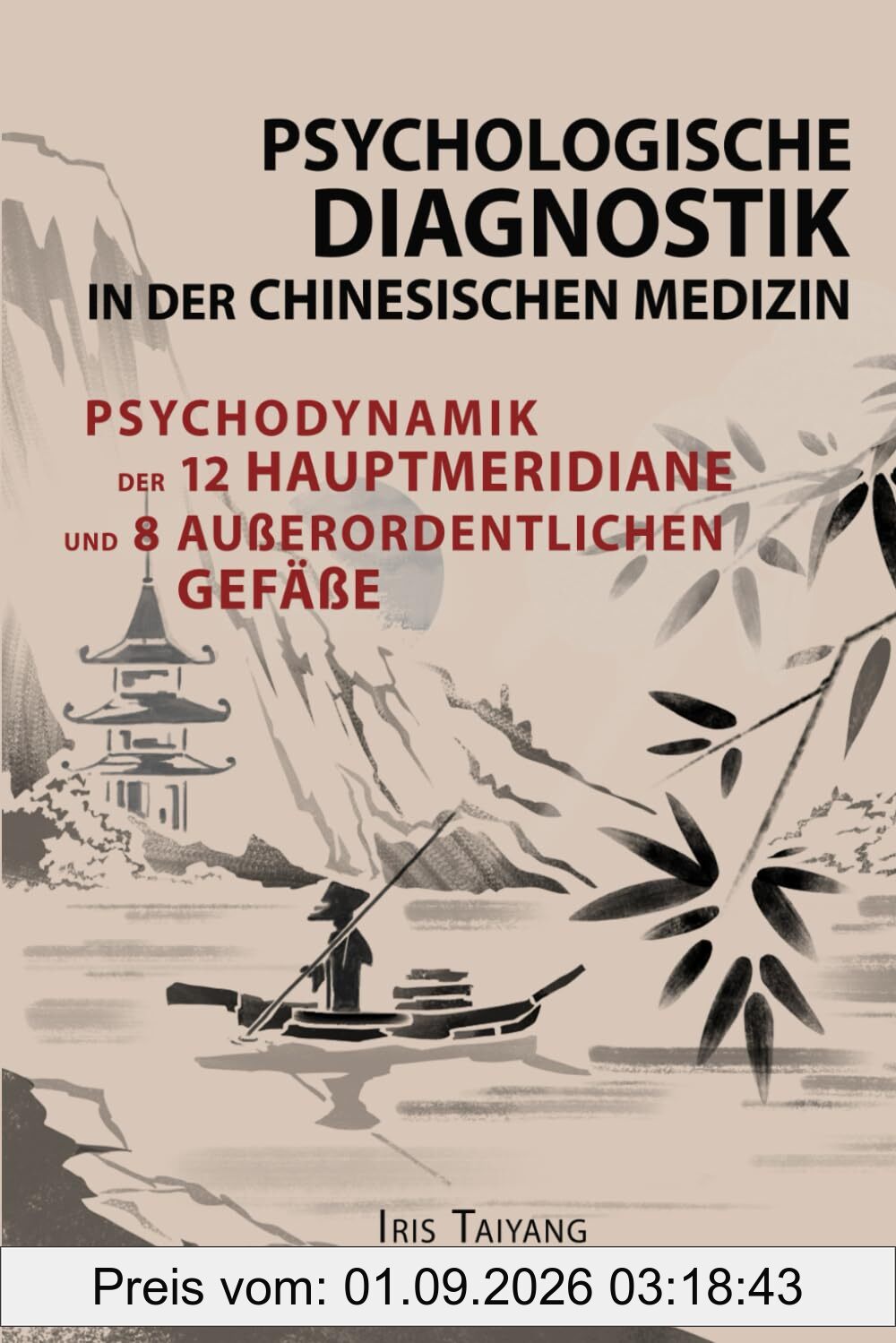Psychologische Diagnostik in der chinesischen Medizin: Psychodynamik der 12 Hauptmeridianen und 8 außerordentlichen Gefäße