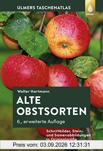 Alte Obstsorten: Schnittbilder, Stein- und Samenabbildungen in Originalgröße