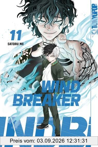 Wind Breaker 11
