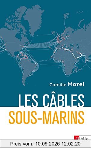 Les câbles sous-marins : enjeux et perspectives au XXIe siècle