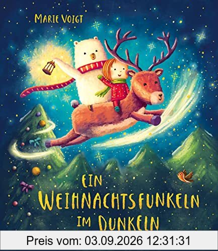 Ein Weihnachtsfunkeln im Dunkeln: Ein Bilderbuch ab 4 Jahren (Die Ein-Funkeln-im-Dunkeln-Reihe, Band 2)