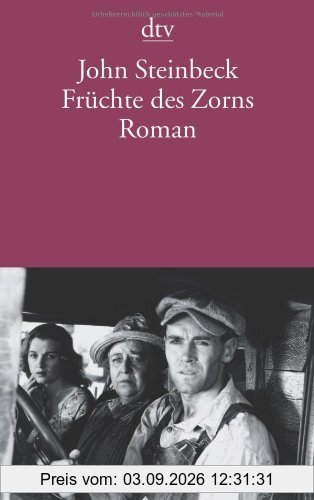 Früchte des Zorns: Roman