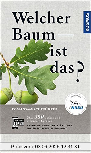 Welcher Baum ist das?