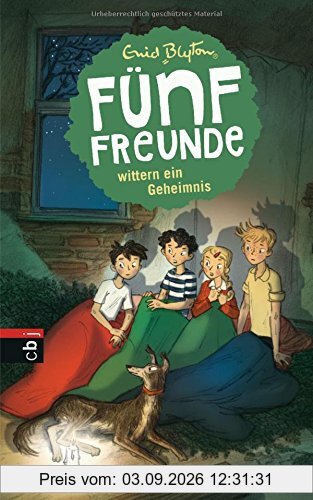 Fünf Freunde wittern ein Geheimnis (Einzelbände, Band 15)