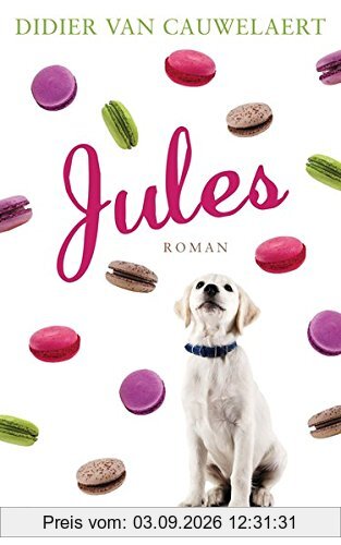 Jules: Roman