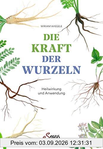 Die Kraft der Wurzeln: Heilwirkung und Anwendung
