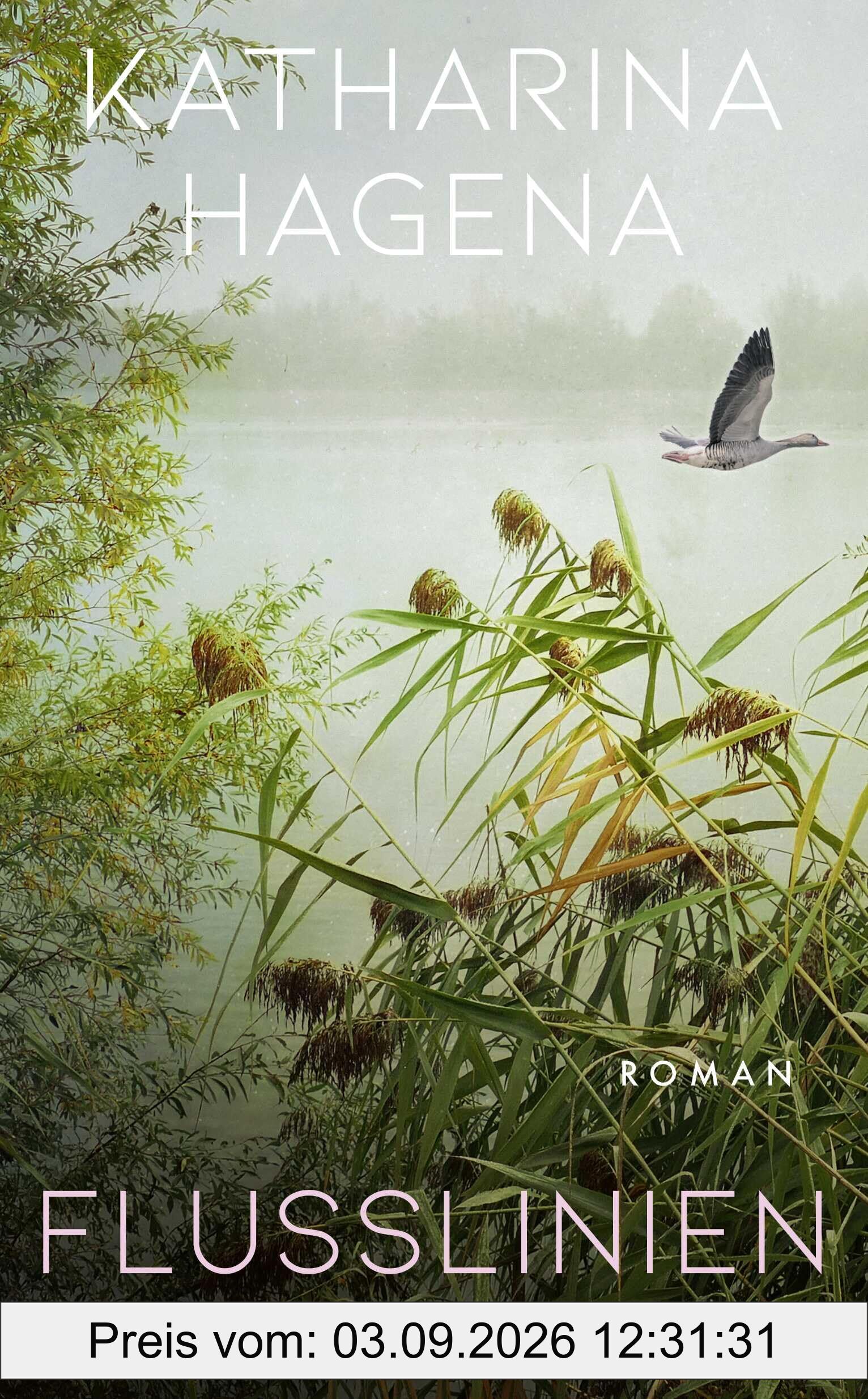Flusslinien: Roman