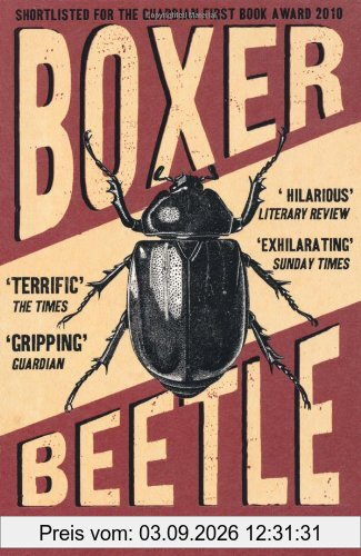 Boxer, Beetle