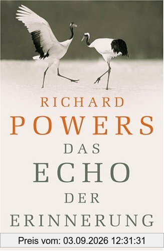 Das Echo der Erinnerung: Roman
