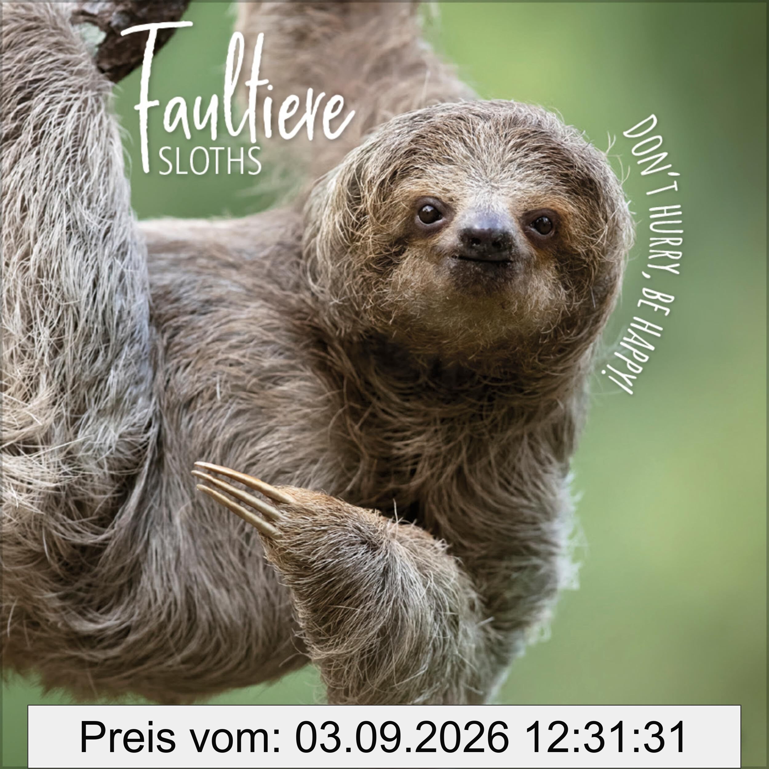 Faultier 2026