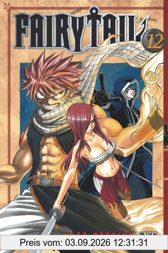 Fairy Tail. Vol. 12