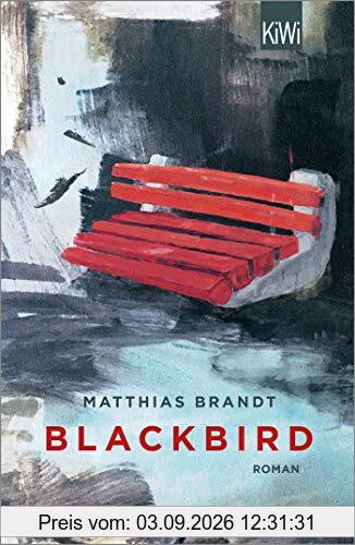Blackbird: Roman