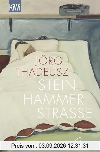 Steinhammerstraße: Roman