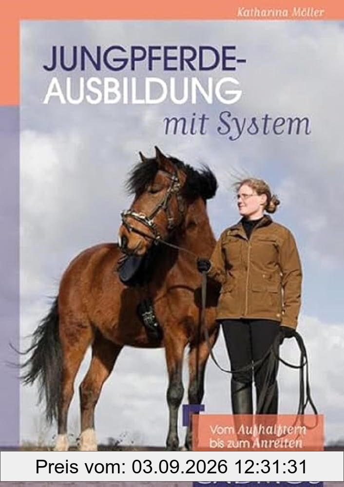 Jungpferdeausbildung mit System