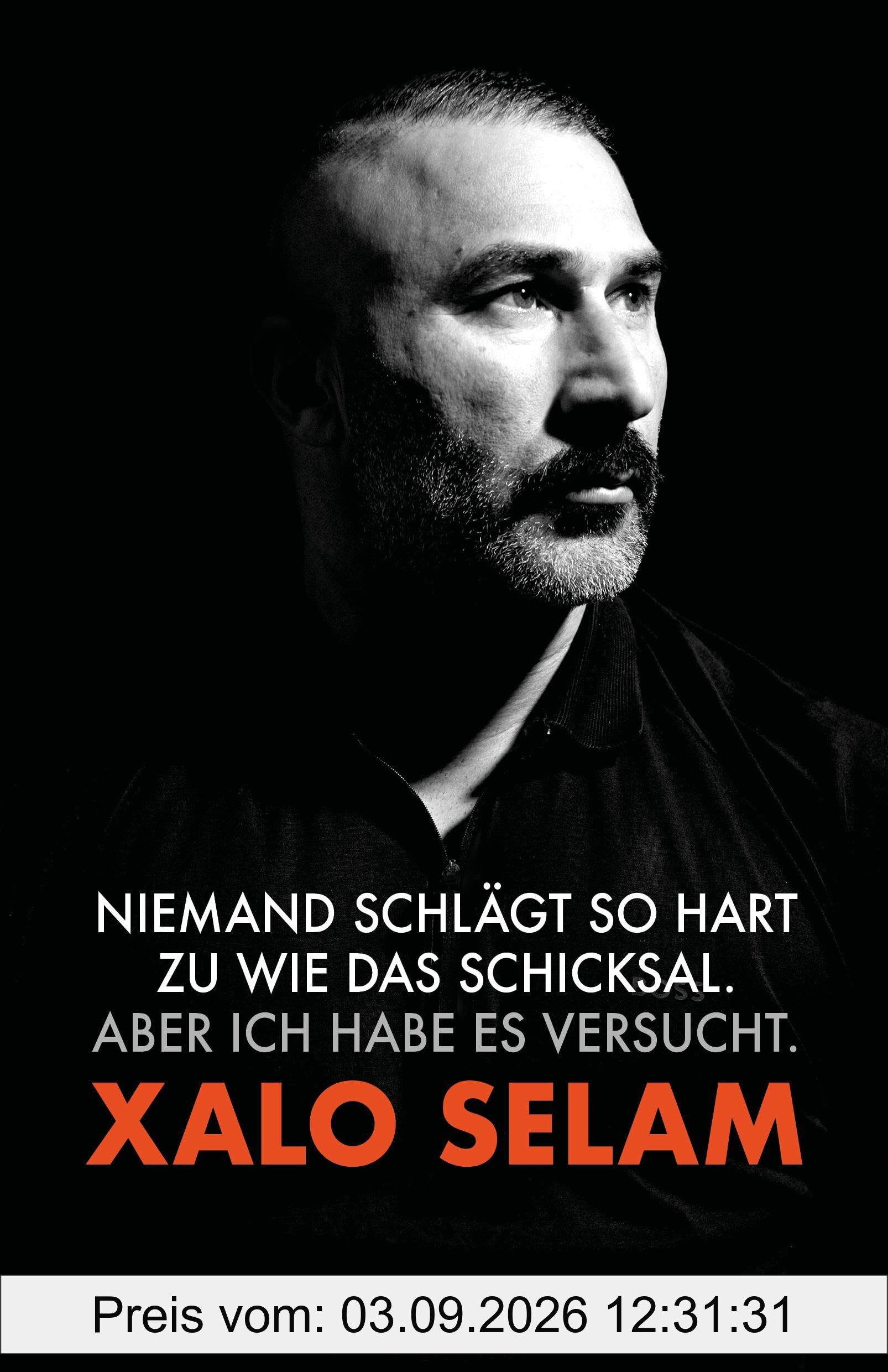 Niemand schlägt so hart zu wie das Schicksal. Aber ich habe es versucht.