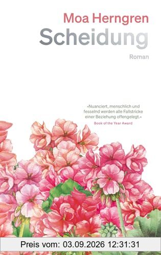 Scheidung: Ein Roman