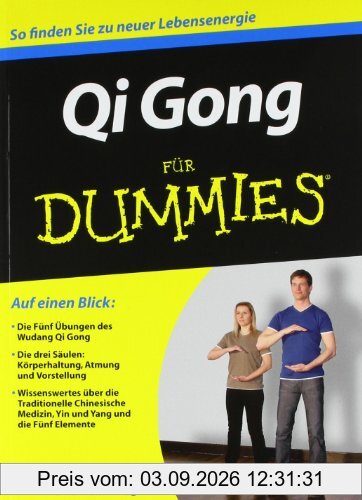 Qi Gong für Dummies (Fur Dummies)