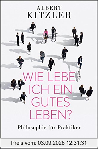 Wie lebe ich ein gutes Leben?: Philosophie für Praktiker