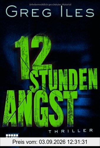 12 Stunden Angst: Thriller