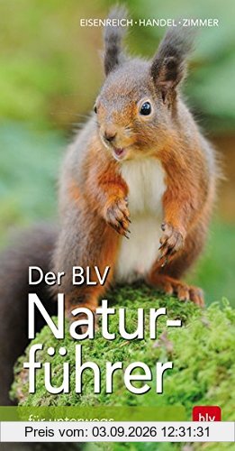 Der BLV Naturführer: für unterwegs