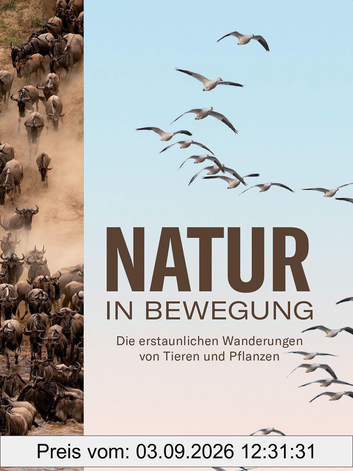 Natur in Bewegung