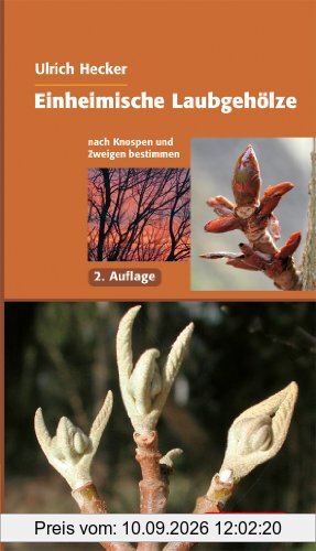 Einheimische Laubgehölze: Nach Knospen und Zweigen bestimmen