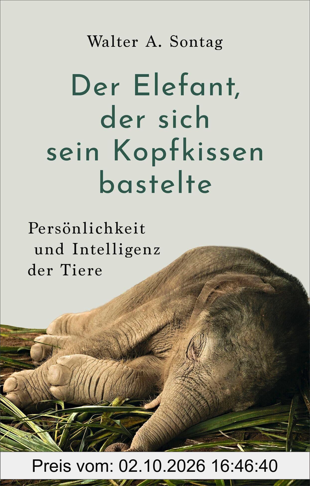 Der Elefant, der sich sein Kopfkissen bastelte