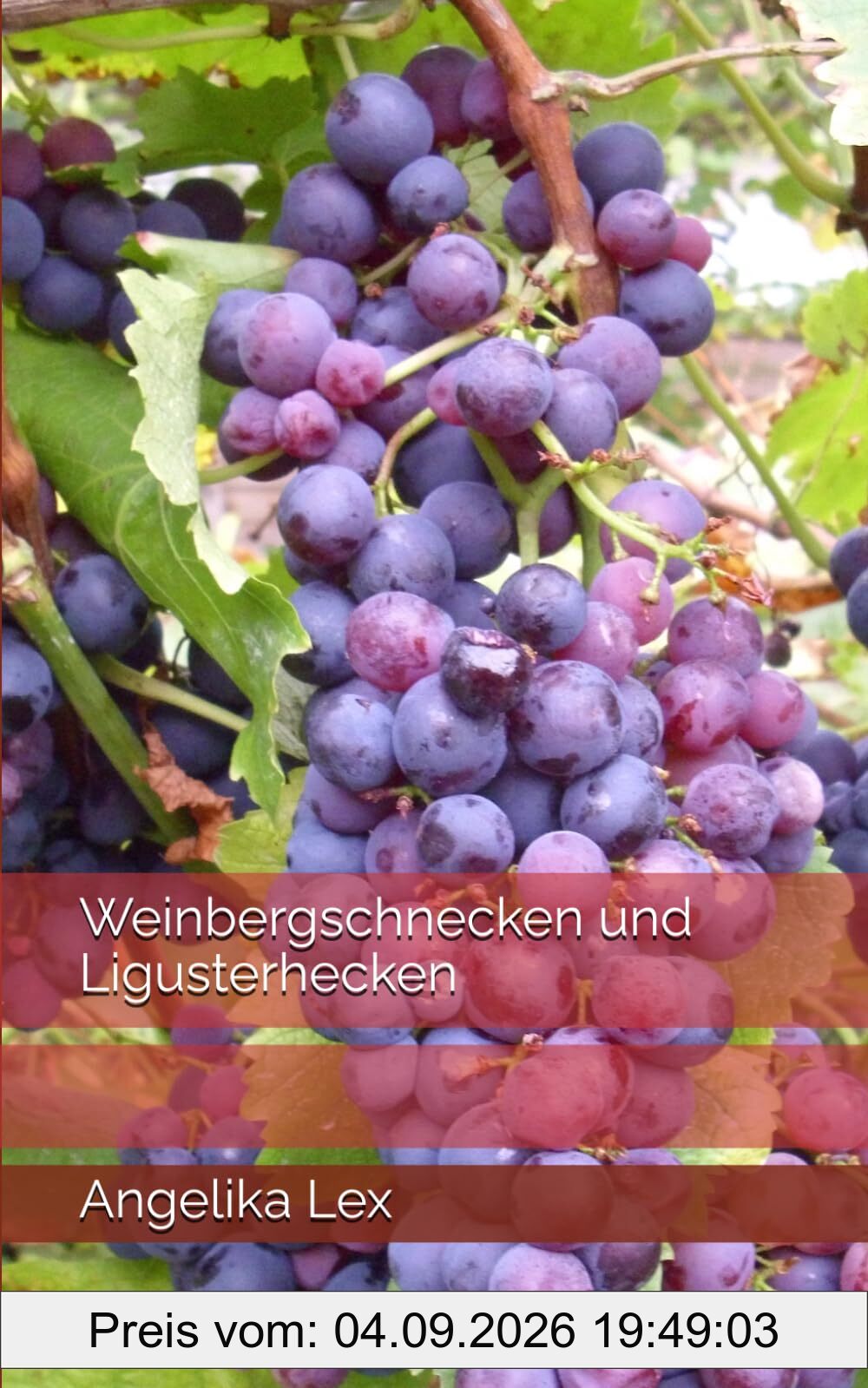 Weinbergschnecken und Ligusterhecken