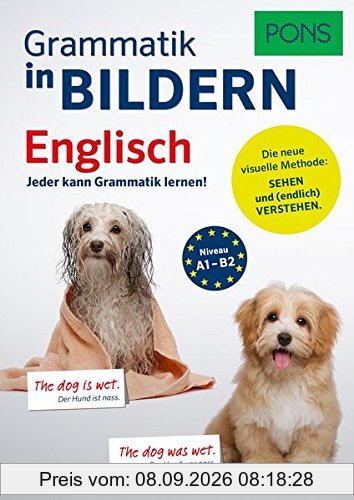 PONS Grammatik in Bildern Englisch: Jeder kann Grammatik lernen!