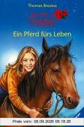 Sieben Pfoten für Penny Sonderband: Ein Pferd fürs Leben