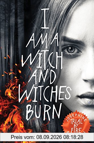 Trial By Fire (The Worldwalker Trilogy, Band 1)