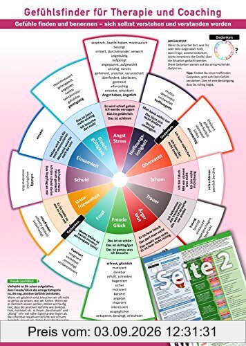 Gefühlsfinder für Therapie und Coaching (2016) -: Gefühle finden und benennen - sich selbst verstehen und verstanden werden - Mit über 100 Gefühlsbegriffen (DIN-A4, laminiert)