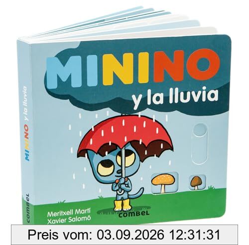 Minino Y La Lluvia