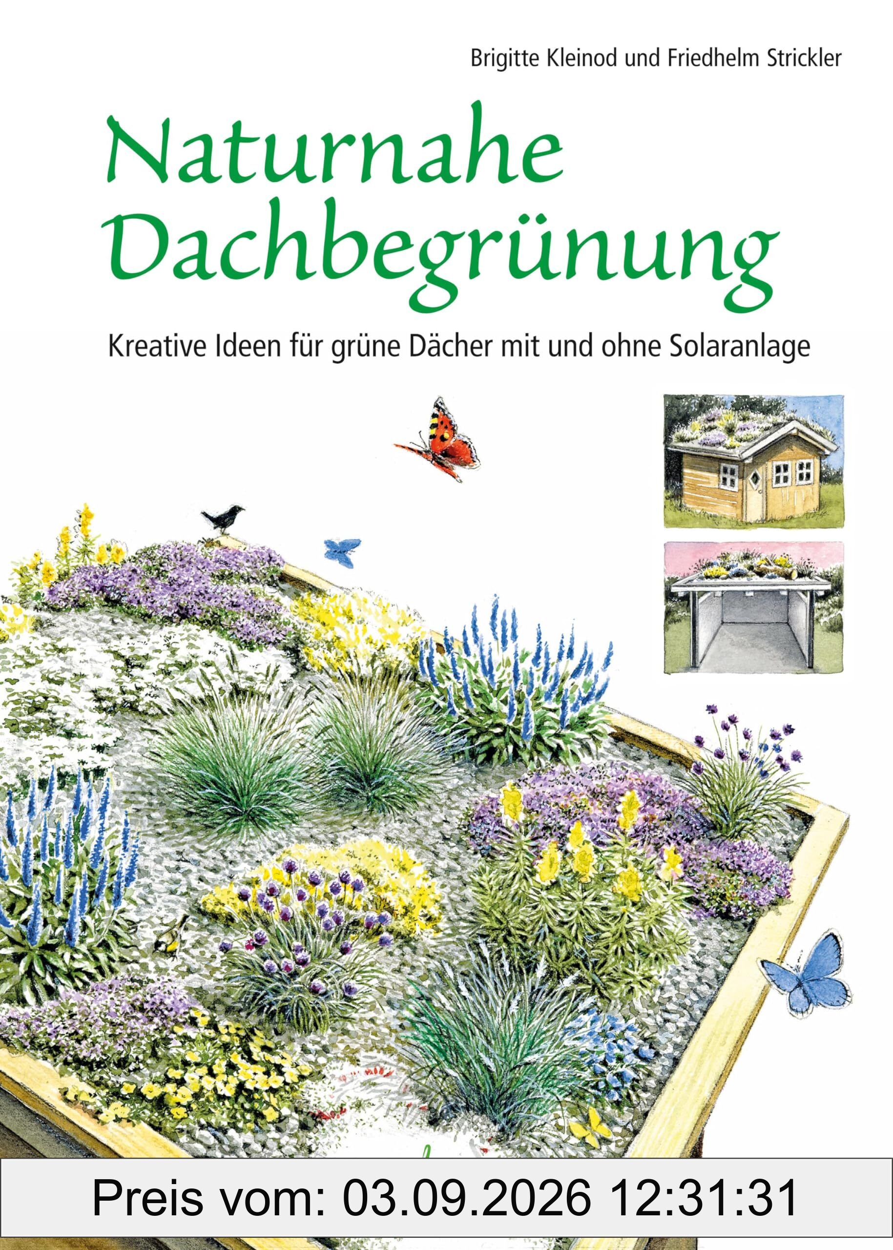 Unser blühendes Dach: Naturnahe Dachbegrünung mit und ohne Solaranlage für mehr Biodiversität und Klimaschutz